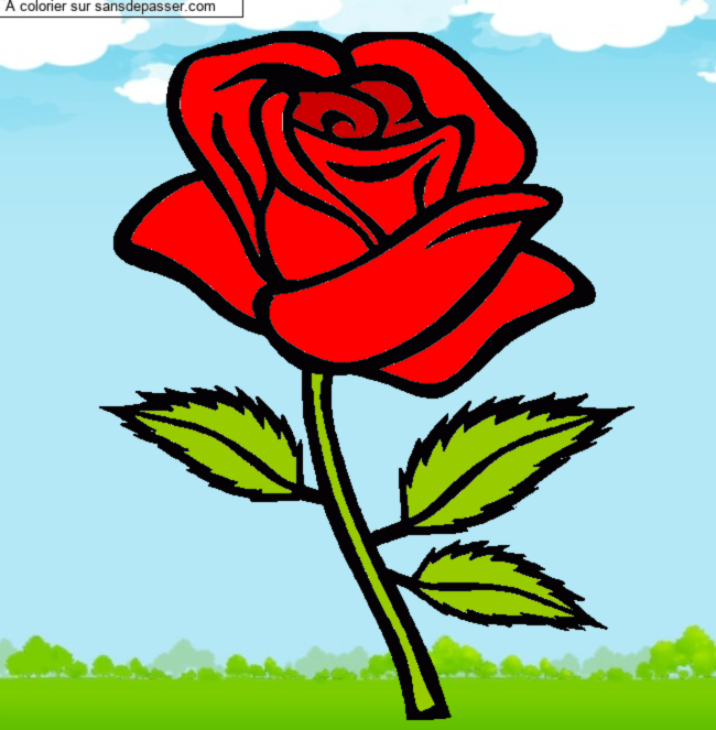 Rose rouge par un invit&eacute;