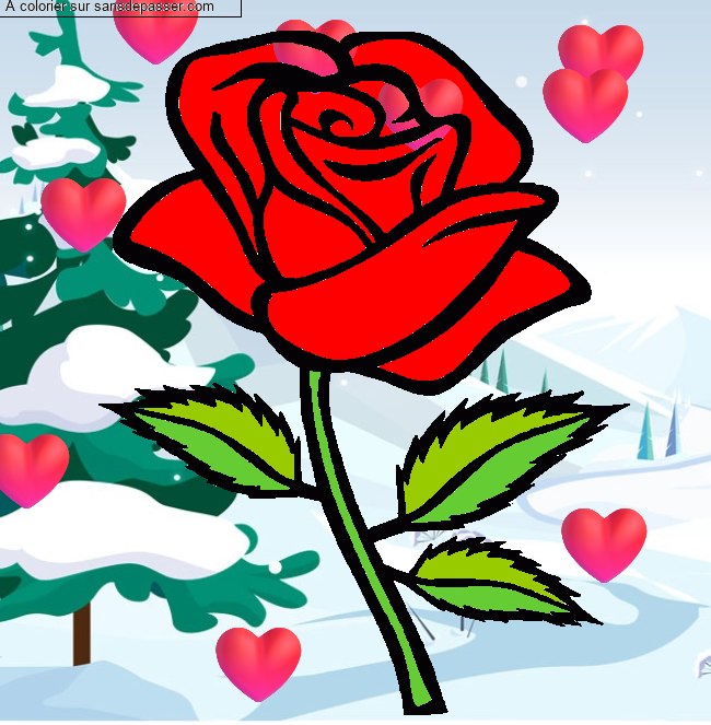 Rose rouge par un invit&eacute;