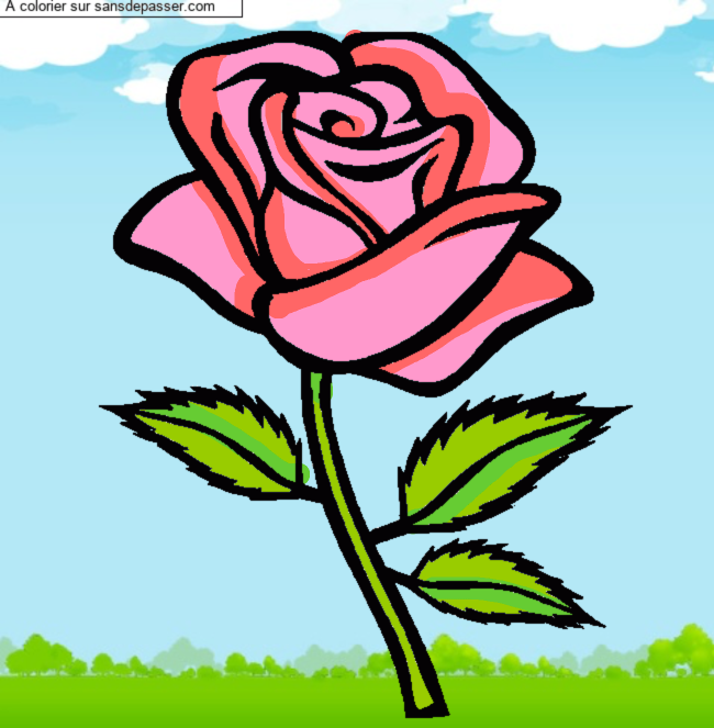 Rose rouge par un invit&eacute;