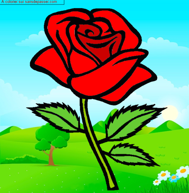 Rose rouge par un invit&eacute;