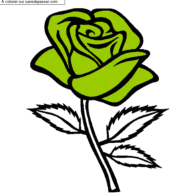 Rose rouge par un invit&eacute;