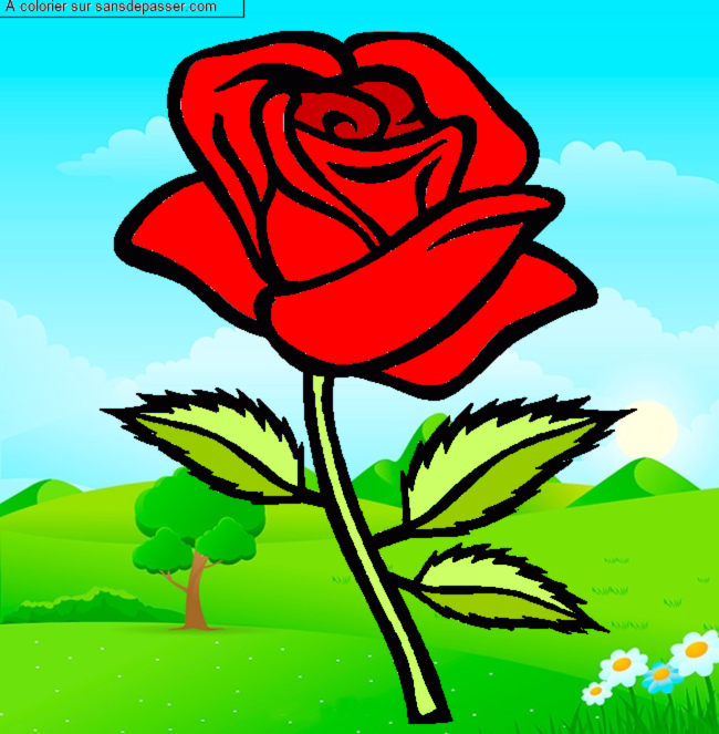 Rose rouge par un invit&eacute;