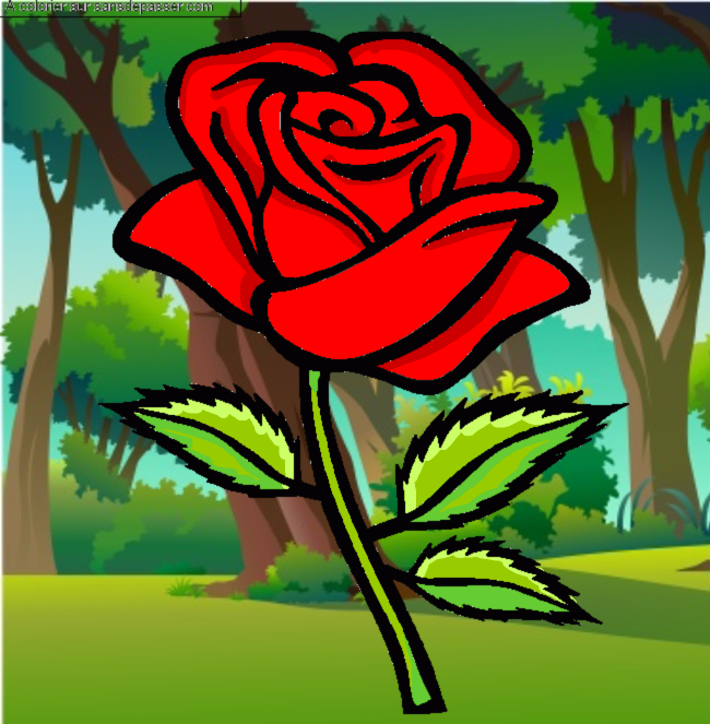 Rose rouge par un invit&eacute;