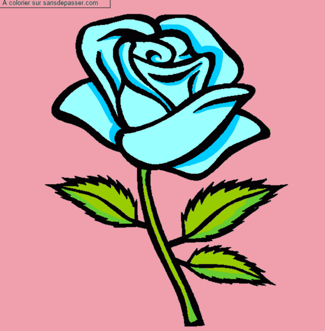 Rose rouge par un invit&eacute;
