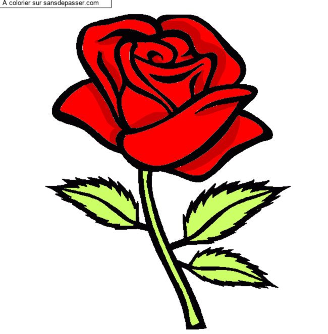 Rose rouge par un invit&eacute;