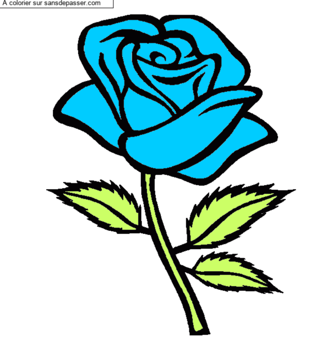 Rose rouge par un invit&eacute;