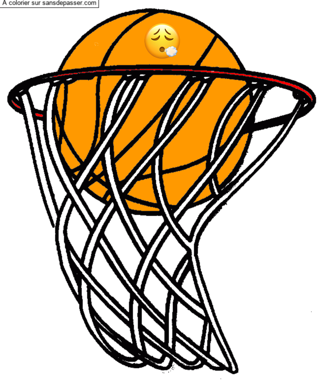 Panier de basketball par un invit&eacute;