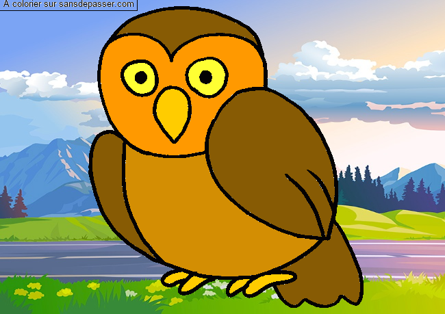 Coloriage Chouette hibou par un invit&eacute;
