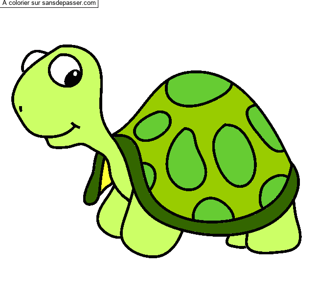 Jolie tortue par un invit&eacute;