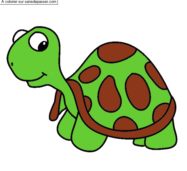 Coloriage Jolie tortue par un invit&eacute;