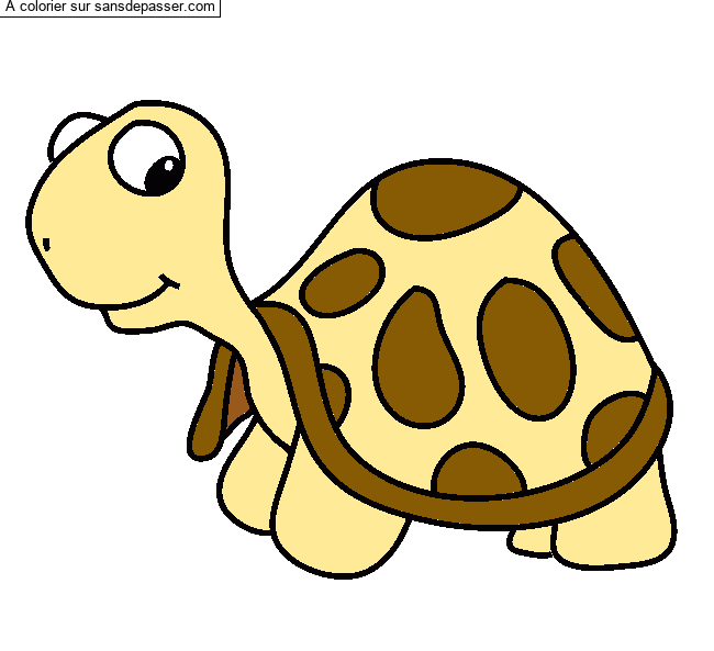 Jolie tortue par un invit&eacute;