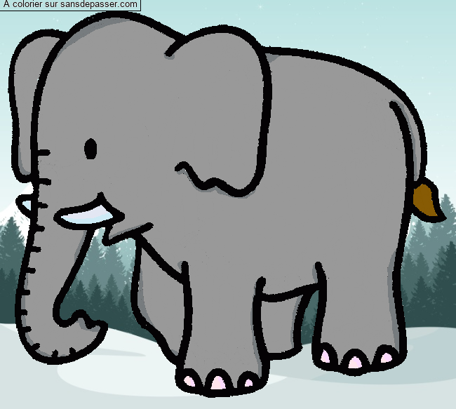 &Eacute;l&eacute;phant par un invit&eacute;