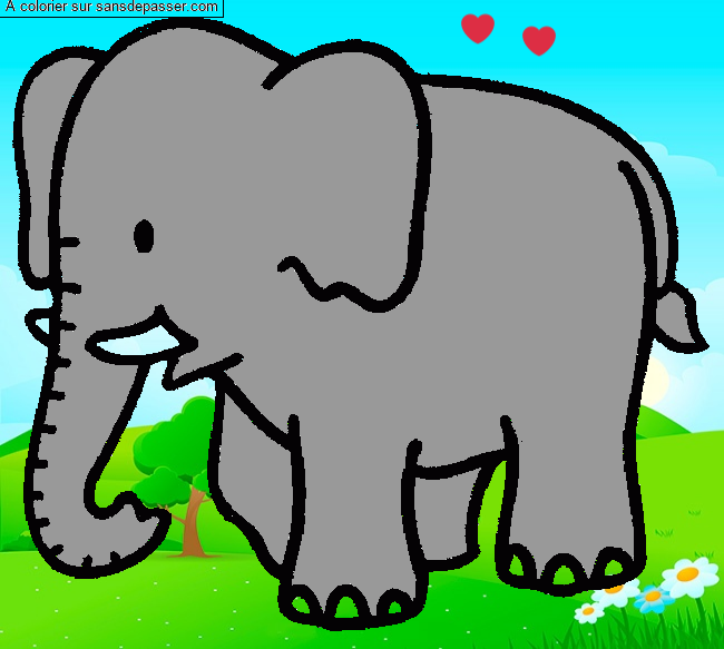 &Eacute;l&eacute;phant par un invit&eacute;