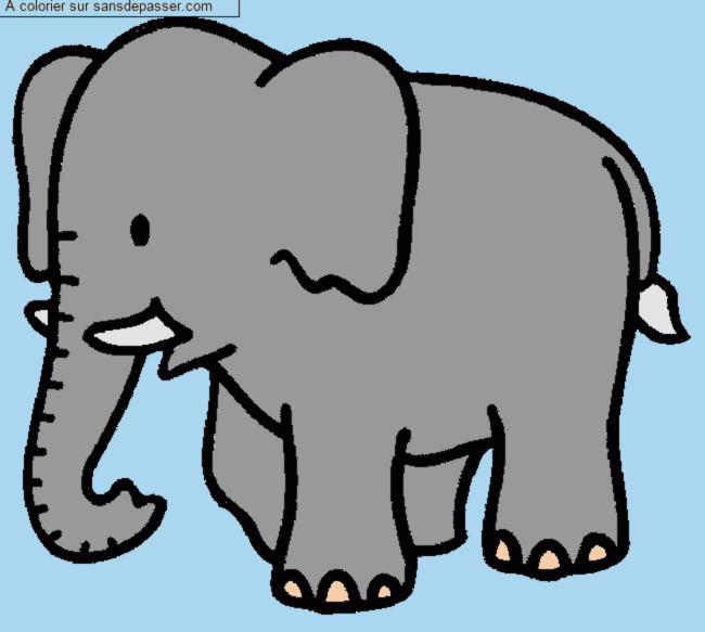 &Eacute;l&eacute;phant par un invit&eacute;