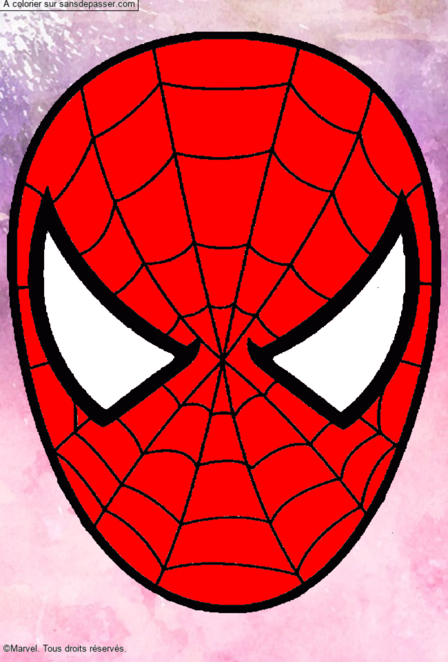Masque de Spiderman par un invit&eacute;