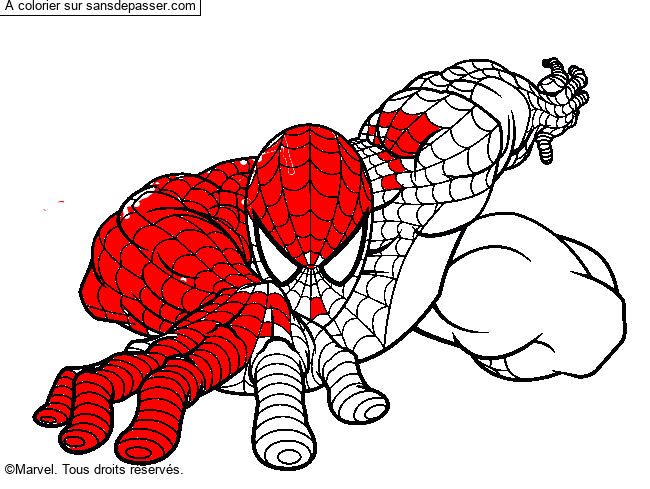 Coloriage Spiderman par un invité