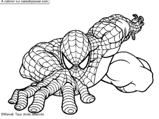Spiderman par un invit&eacute;