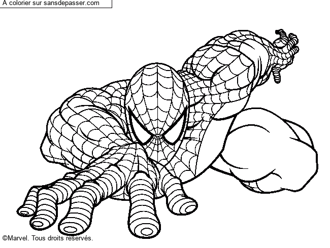 Spiderman par un invit&eacute;