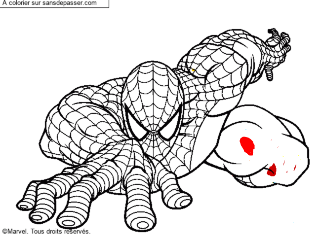 Spiderman par un invit&eacute;