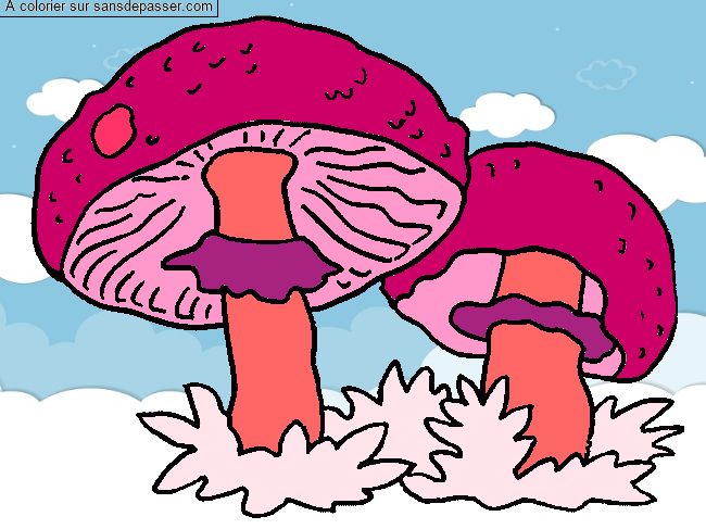 Champignons par un invit&eacute;