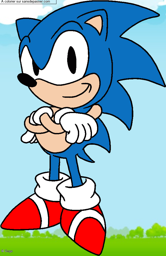Sonic par un invit&eacute;