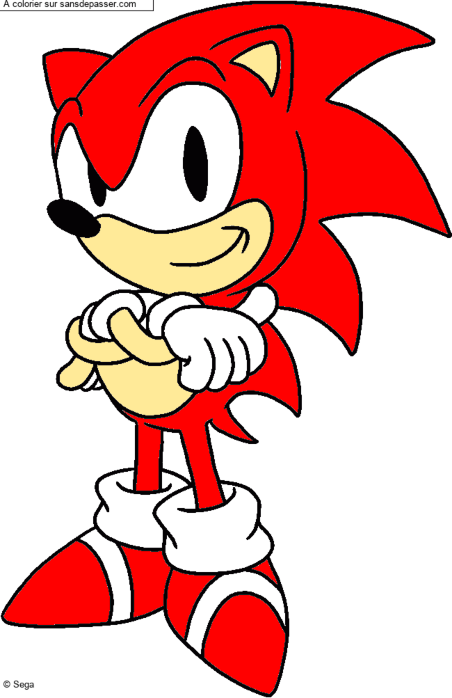 Sonic par un invit&eacute;