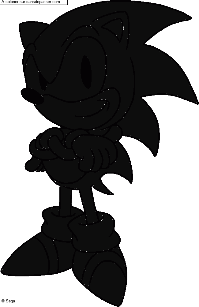 Sonic par un invit&eacute;