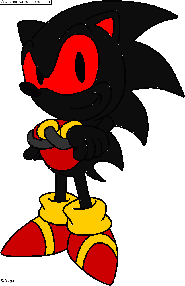 Sonic par un invit&eacute;