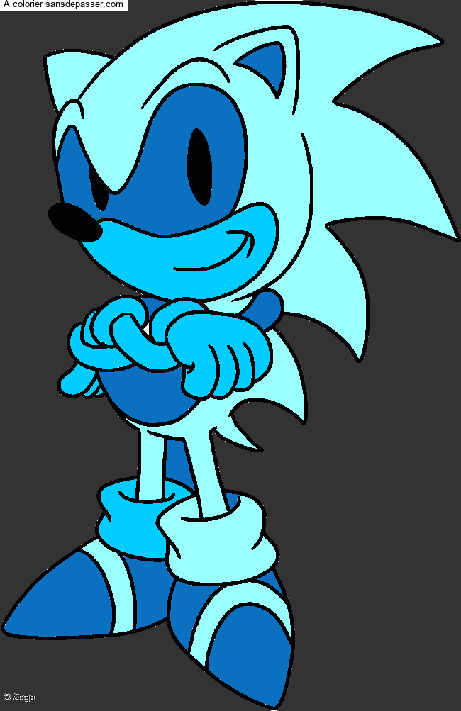 Sonic par un invit&eacute;