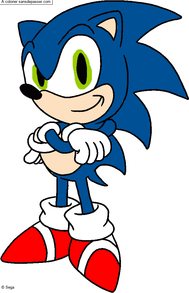 Sonic par un invit&eacute;