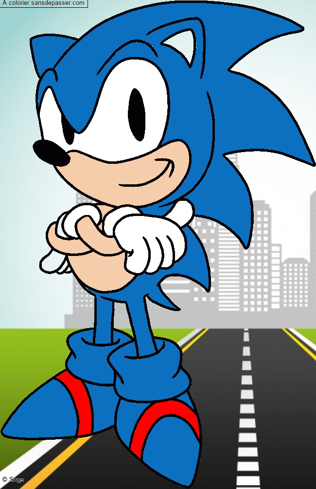 Sonic par un invit&eacute;