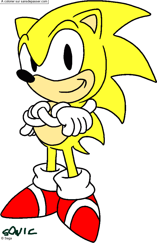 Sonic par un invit&eacute;