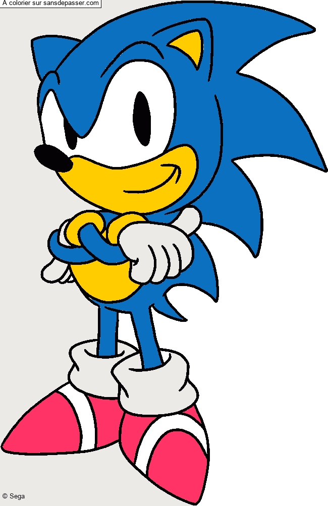 Sonic par un invit&eacute;