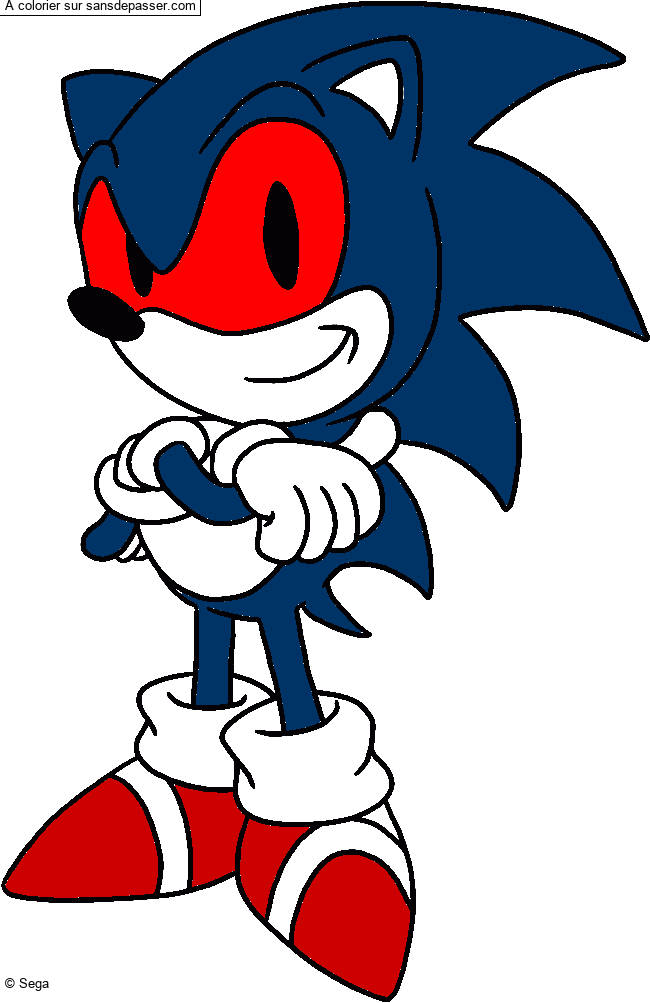 Sonic par un invit&eacute;