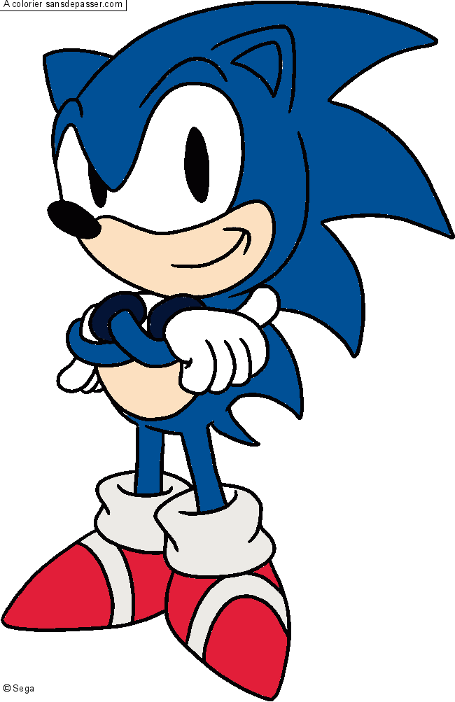 Sonic par un invit&eacute;