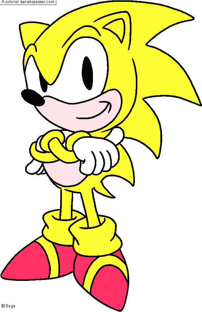 Sonic par un invit&eacute;