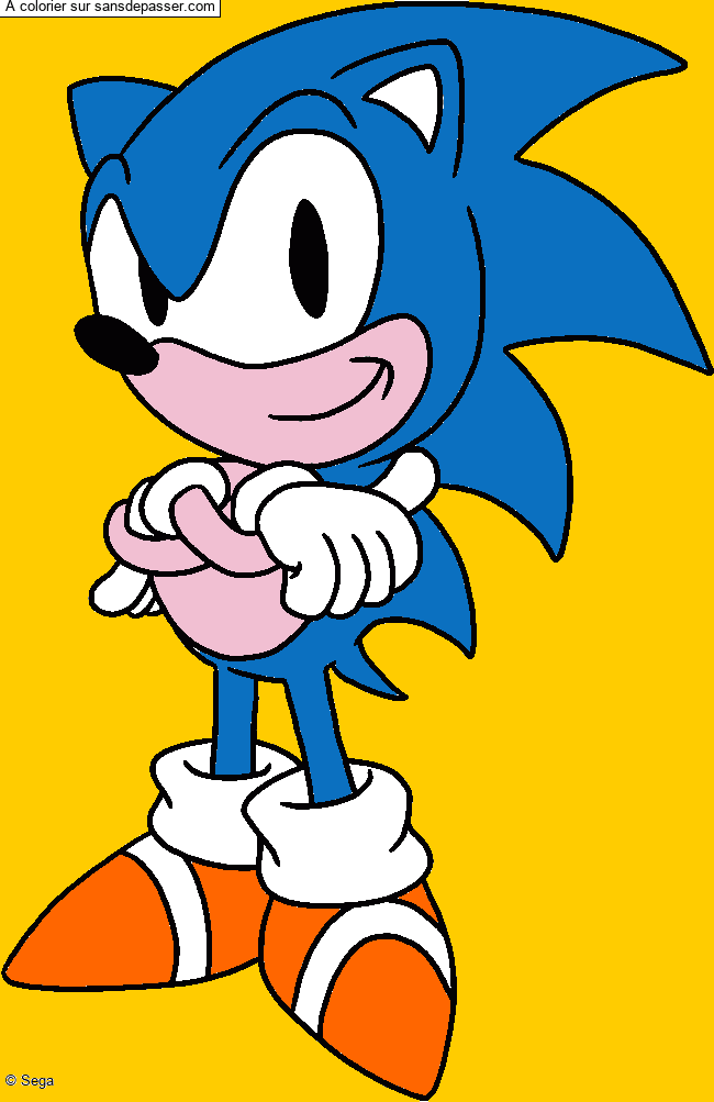 Sonic par un invité