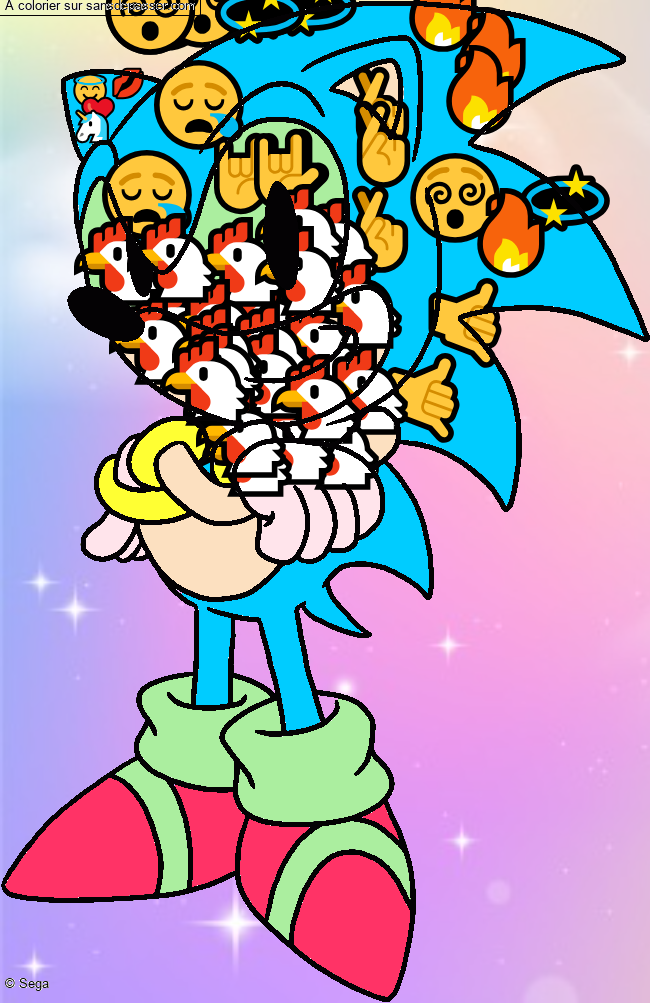 Sonic par un invit&eacute;