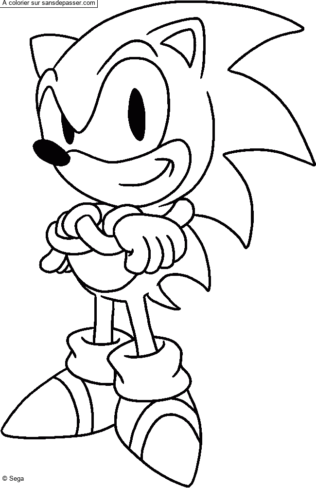 Sonic par un invit&eacute;