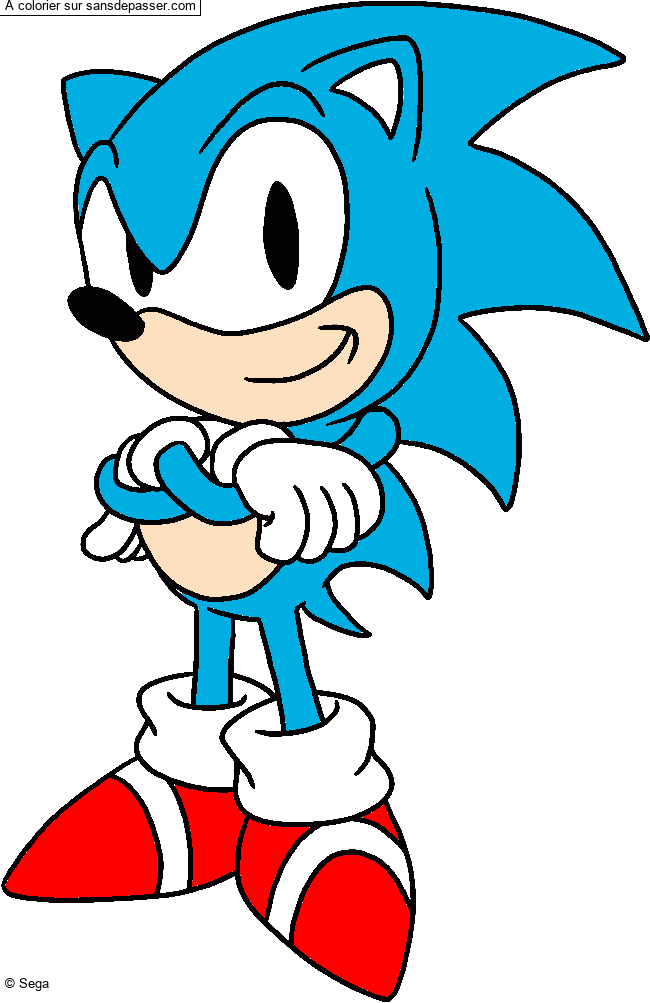 Sonic par un invit&eacute;