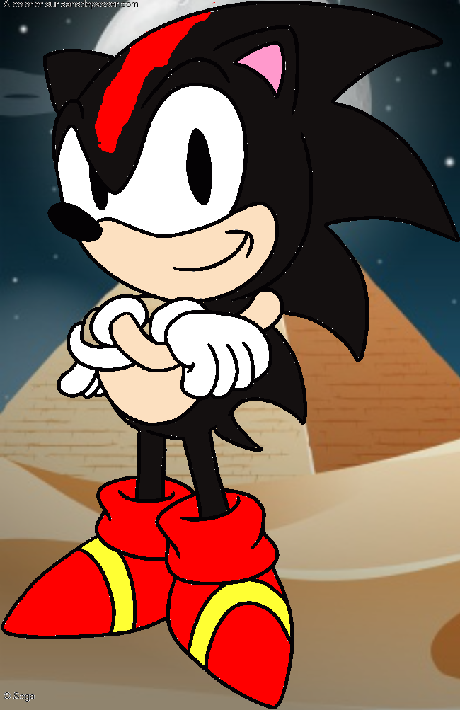 Sonic par un invit&eacute;