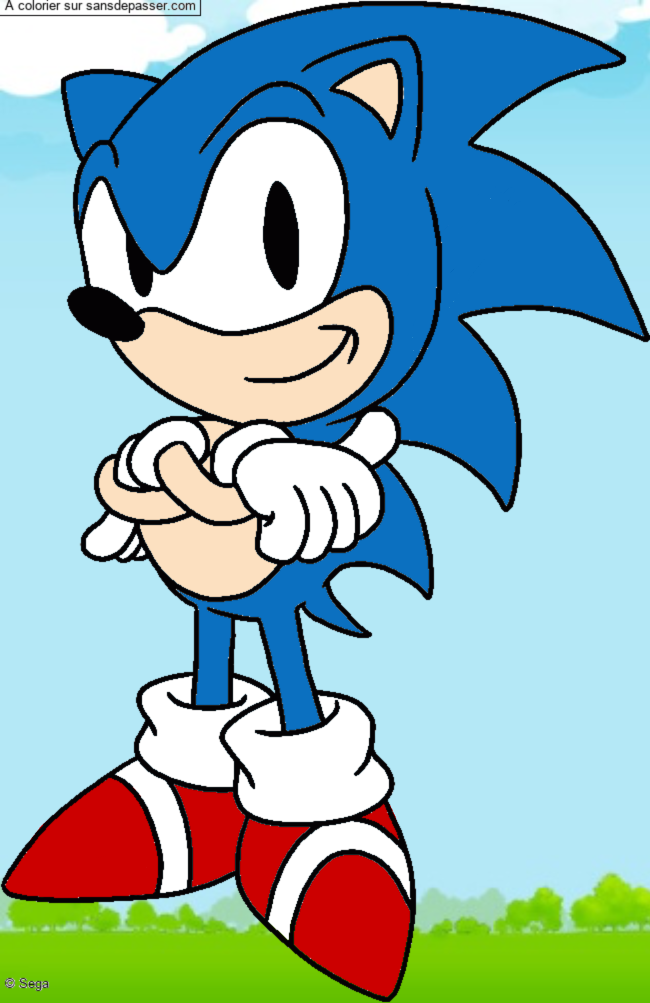 Sonic par un invit&eacute;