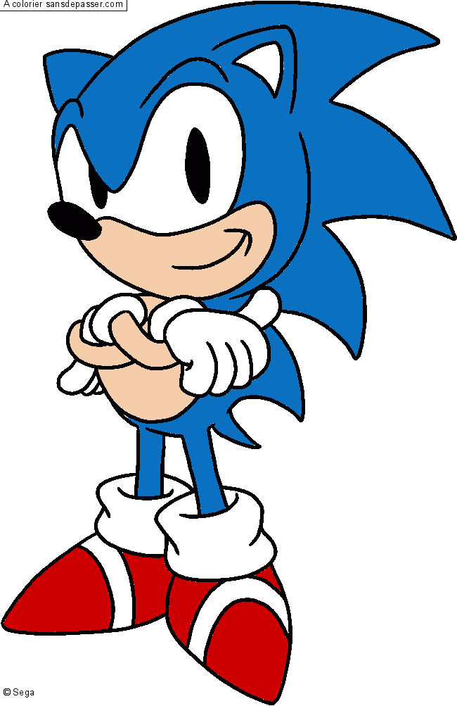 Sonic par un invit&eacute;