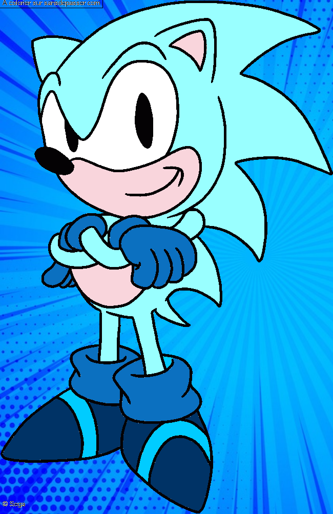 Sonic par un invit&eacute;