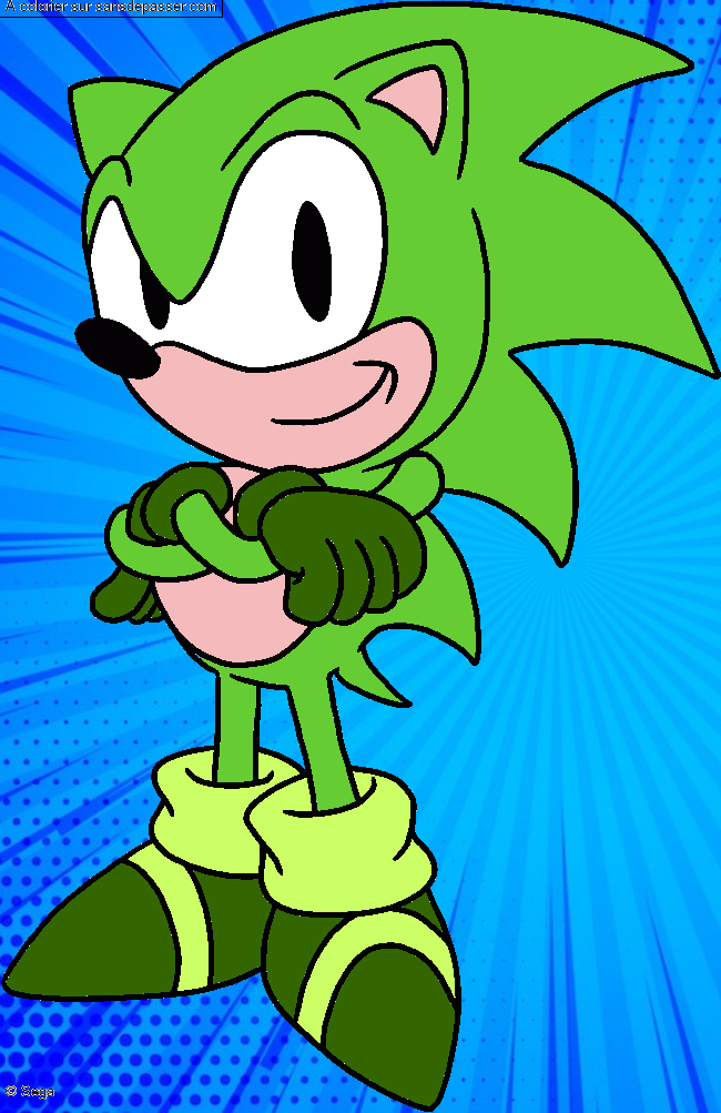 Sonic par un invit&eacute;
