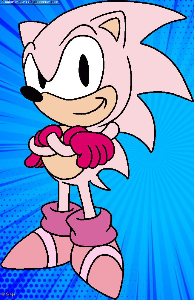 Sonic par un invit&eacute;
