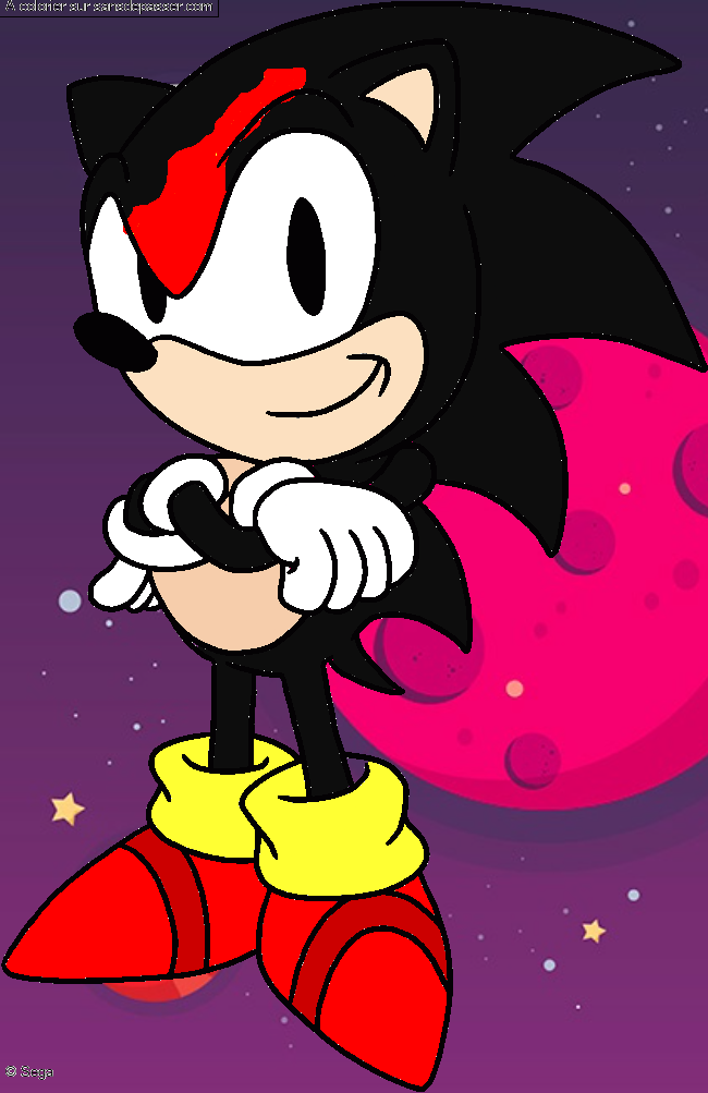 Sonic par un invit&eacute;