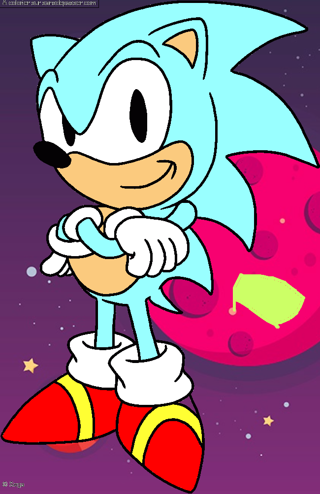 Sonic par un invit&eacute;