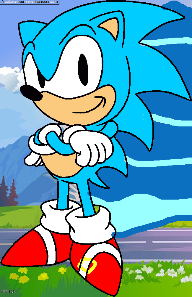 Sonic par un invit&eacute;