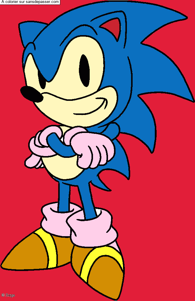 Sonic par un invit&eacute;
